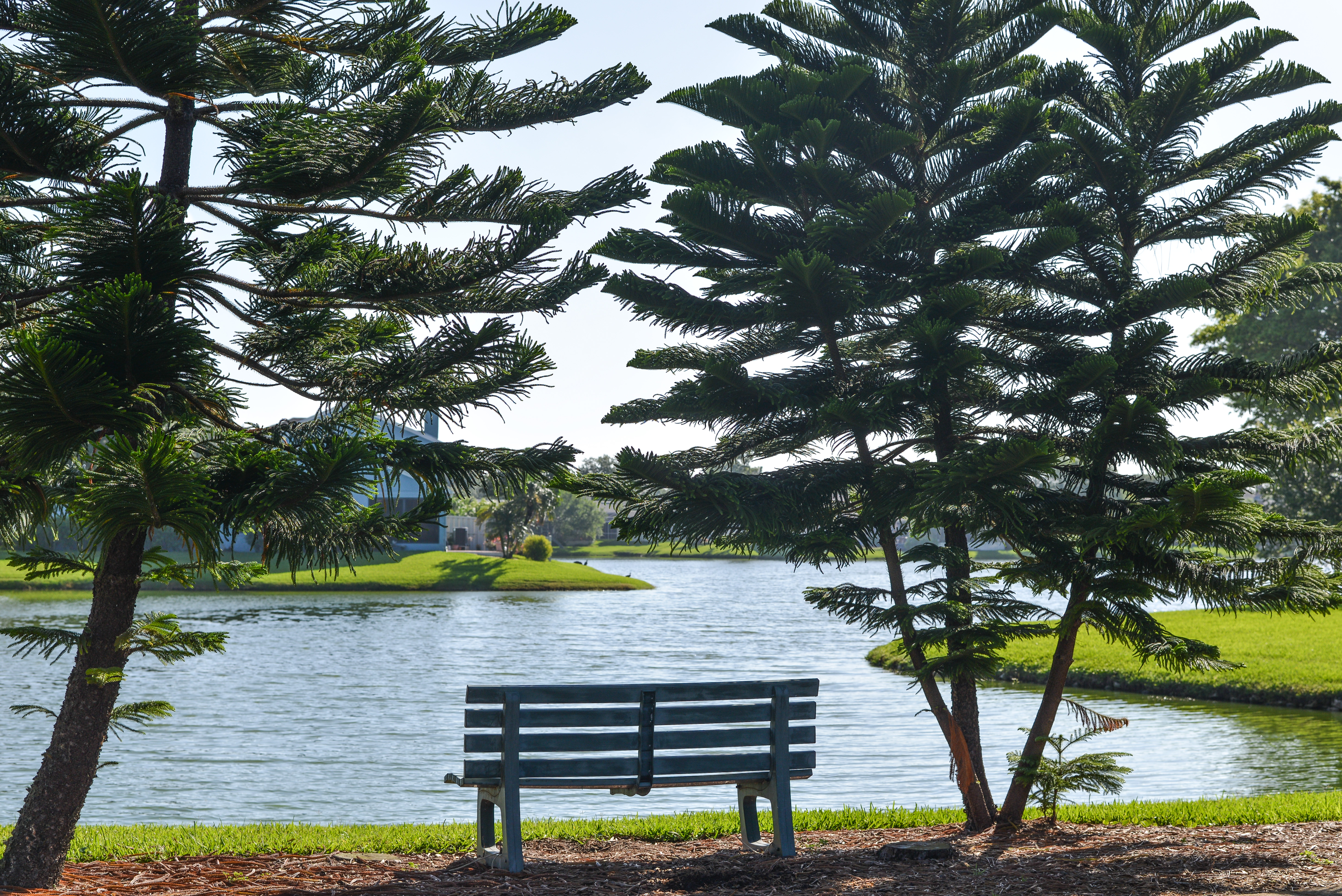 Cayo Costa, St. Petersburg Real Estate Homes & Condos For Sale Homes for Sale